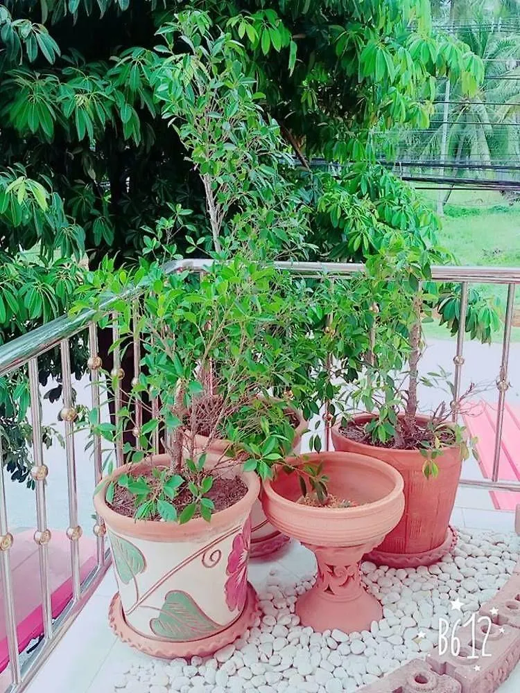 Gæstehus Lanta Grand House Hotel Ko Lanta